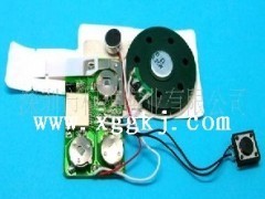 高秒數(shù)錄音IC 語音IC批發(fā) - 門鈴IC - 集成電路(IC) - 電子元器件 - 供應(yīng) - 切它網(wǎng)(QieTa.com)